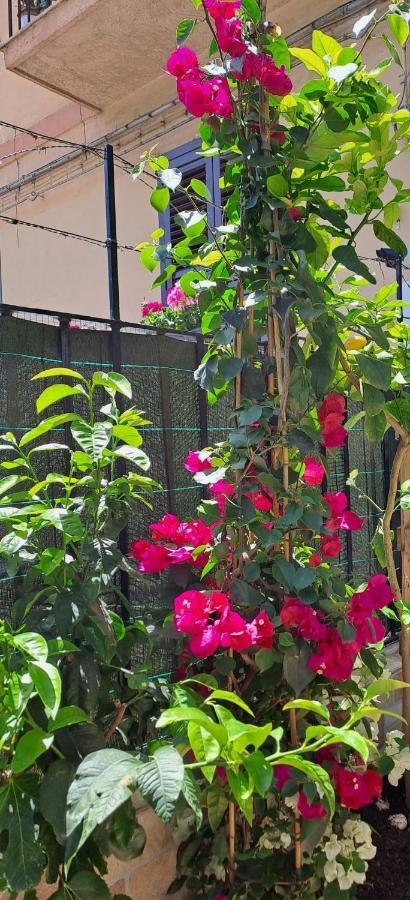 Lilibet Apartment Palermo Luaran gambar